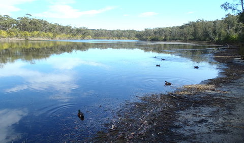 Conjola National Park - Accommodation Batemans Bay 1