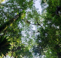 Botanic walk - Accommodation Batemans Bay