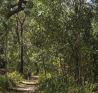 Sand track walk south - Accommodation Batemans Bay