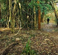 Sand track walk north - Accommodation Batemans Bay