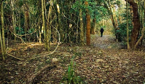 Sand Track Walk (north) - Accommodation Batemans Bay 0