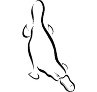 Platypus Gallery - Accommodation Batemans Bay
