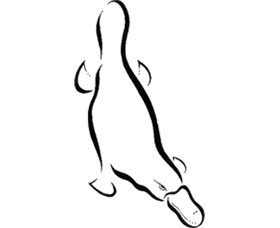 Platypus Gallery - Accommodation Batemans Bay 0