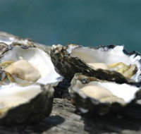 Jim Wilds Oyster Service - Accommodation Batemans Bay