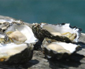 Jim Wilds Oyster Service - Accommodation Batemans Bay 0