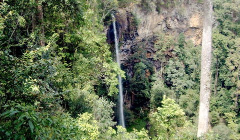 Boorganna Nature Reserve - Accommodation Batemans Bay 2