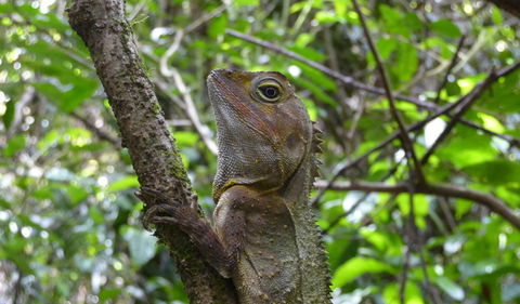 Boorganna Nature Reserve - Accommodation Batemans Bay 3
