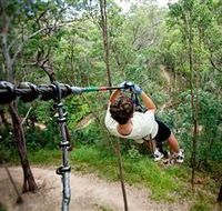 TreeTop Challenge - Accommodation Batemans Bay