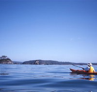 Kayaking Batemans Bay - Accommodation Batemans Bay