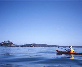 Kayaking Batemans Bay