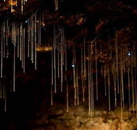 Tamborine Mountain Glow Worm Caves - Accommodation Batemans Bay