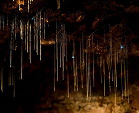 Tamborine Mountain Glow Worm Caves - Accommodation Batemans Bay 0