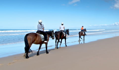 Worimi National Park - Accommodation Batemans Bay 1