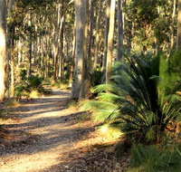 Square Head track 2 - Accommodation Batemans Bay