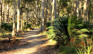 Square Head track 2