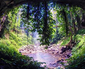 Dorrigo Rainforest Centre - Accommodation Batemans Bay 1