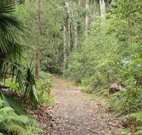 Lake walking track - Accommodation Batemans Bay