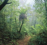 Wagawn - Accommodation Batemans Bay