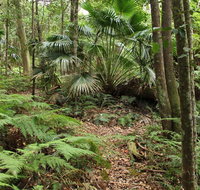 Durras Lake Discovery trail - Accommodation Batemans Bay
