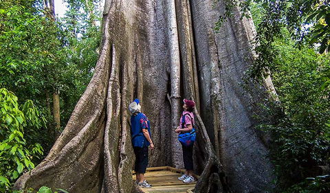 Wingham Brush Nature Reserve - Accommodation Batemans Bay 1
