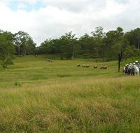 Numinbah Valley Adventure Trails - Accommodation Batemans Bay