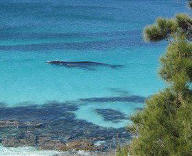 Jervis Bay Marine Park - Accommodation Batemans Bay 0