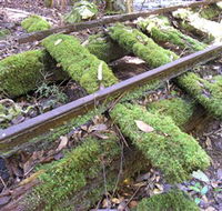 Wootton Historical Railway Walk - Accommodation Batemans Bay