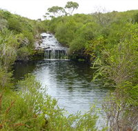 Booderee National Park Green Patch and Telegraph Creek Walking Tracks - Accommodation Batemans Bay