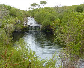 Booderee National Park: Green Patch And Telegraph Creek Walking Tracks - Accommodation Batemans Bay 0