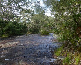Booderee National Park: Green Patch And Telegraph Creek Walking Tracks - Accommodation Batemans Bay 1