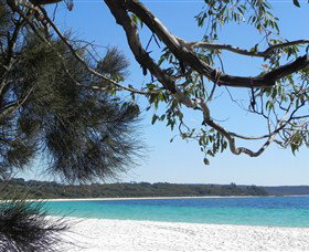 Booderee National Park: Green Patch And Telegraph Creek Walking Tracks - Accommodation Batemans Bay 6