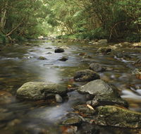 Plateau Circuit loop trail - Accommodation Batemans Bay