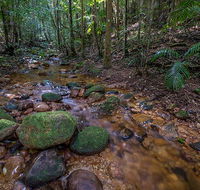 Starrs Creek picnic area - Accommodation Batemans Bay