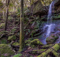Coorabakh National Park - Accommodation Batemans Bay