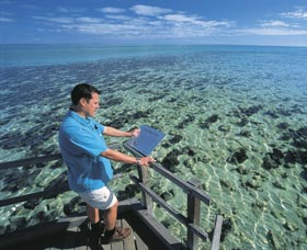 Hamelin Pool Stromatolites - Accommodation Batemans Bay 2