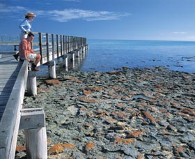 Hamelin Pool Stromatolites - Accommodation Batemans Bay 3