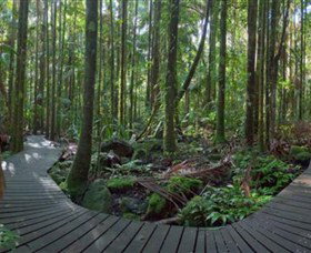 Protesters Falls - Accommodation Batemans Bay 4