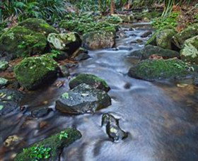 Protesters Falls - Accommodation Batemans Bay 7