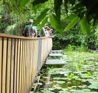 Rocky Creek Dam - Accommodation Batemans Bay
