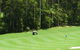 Bonville Golf Resort - thumb 0