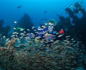 Aarhus Dive Site - Accommodation Batemans Bay 0