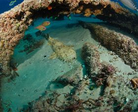 Aarhus Dive Site - Accommodation Batemans Bay 3