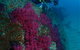 Aarhus Dive Site - thumb 2