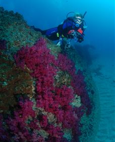 Aarhus Dive Site - Accommodation Batemans Bay 2