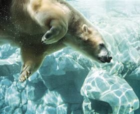 Australia's Sea World - Accommodation Batemans Bay 0