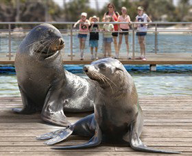 Australia's Sea World - Accommodation Batemans Bay 1