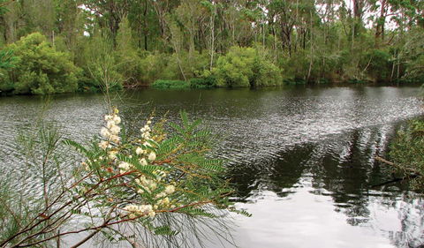 Wallingat National Park - Accommodation Batemans Bay 0