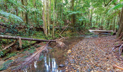 Ulidarra National Park - Accommodation Batemans Bay 0