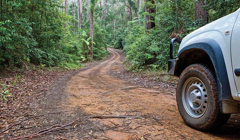 Ulidarra National Park - Accommodation Batemans Bay 2