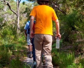 Naree Budjong Djara National Park - Accommodation Batemans Bay 3